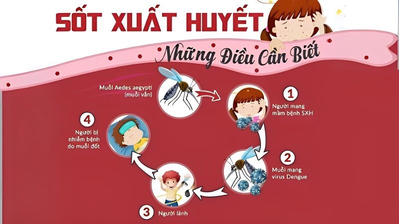 Phòng chống bệnh sốt xuất huyết
